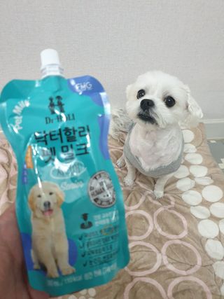 신지님이 올린 리뷰 사진 4