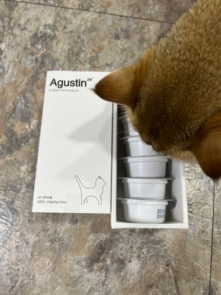 고고고님이 올린 리뷰 사진 1