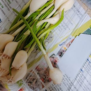 퓨리아님이 올린 리뷰 사진 3