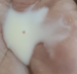 narihalmany님이 올린 리뷰 사진 4