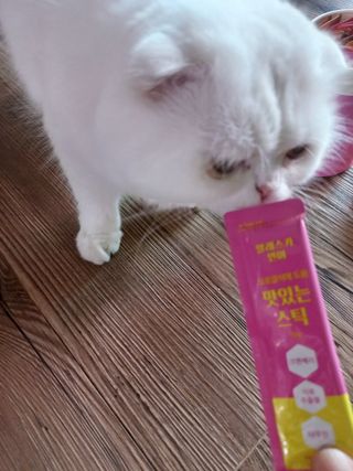 페페로니 맛있는 스틱 - 무항생제 닭고기 15개 + 알래스카 연어 15개 — 5점을 준 리뷰어가 2021년 9월 올린 사용 사진