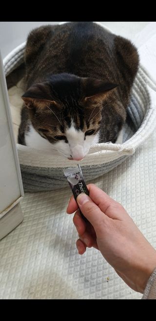 둘둘이님이 올린 리뷰 사진 3