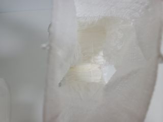 안성하님이 올린 리뷰 사진 2