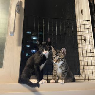 상큼이님이 올린 리뷰 사진 2