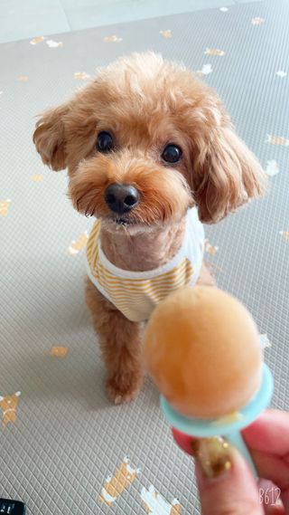 harumom님이 올린 리뷰 사진 1