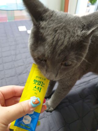 페페로니 맛있는 스틱 - 무항생제 닭고기 15개 + 원양선 참치 15개 — 5점을 준 리뷰어가 2021년 8월 올린 사용 사진