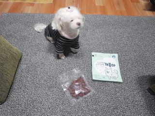 My Pet Care 천연단백질 눈건강에 개좋아 — 5점을 준 리뷰어가 2021년 1월 올린 사용 사진