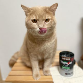 루하님이 올린 리뷰 사진 4