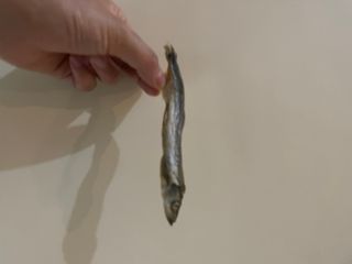 2준2님이 올린 리뷰 사진 2