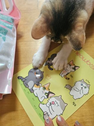 cherishlim님이 올린 리뷰 사진 3