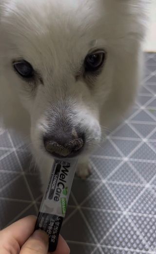요하님이 올린 리뷰 사진 3
