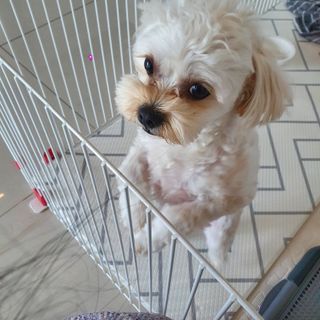 지으니님이 올린 리뷰 사진 4