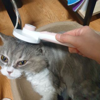 소이양님이 올린 리뷰 사진 2