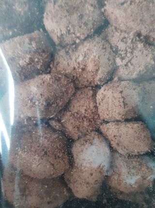 유지영님이 올린 리뷰 사진 3