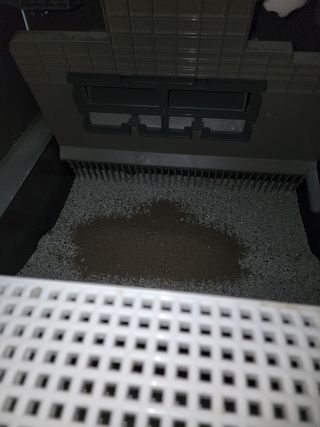 상어오리님이 올린 리뷰 사진 4