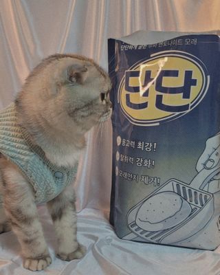 유햐님이 올린 리뷰 사진 3