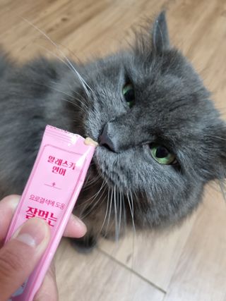 아들애미님이 올린 리뷰 사진 4