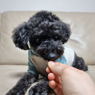 apple님이 올린 리뷰 사진 3