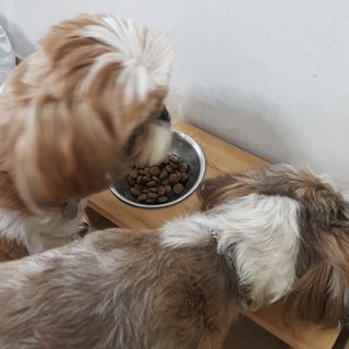 민준맘님이 올린 리뷰 사진 2