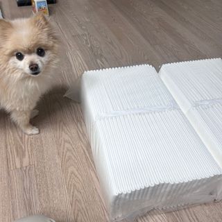 세지니힛님이 올린 리뷰 사진 1