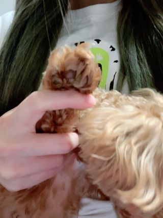 ehlove님이 올린 리뷰 사진 3