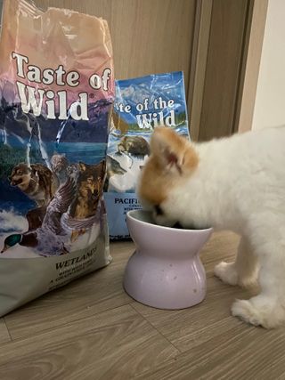 ㄹ발음님이 올린 리뷰 사진 3