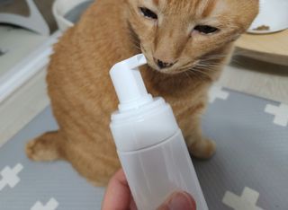솔탄이love님이 올린 리뷰 사진 2