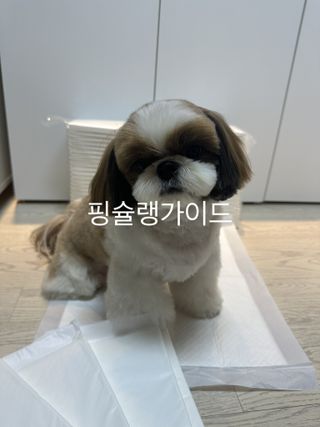 박코끼리님이 올린 리뷰 사진 3