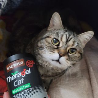 나초단맘님이 올린 리뷰 사진 1