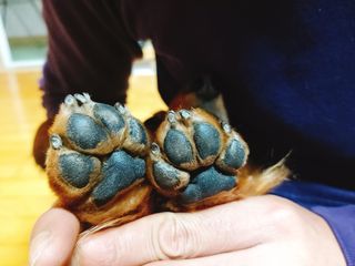 jeeun2da님이 올린 리뷰 사진 4