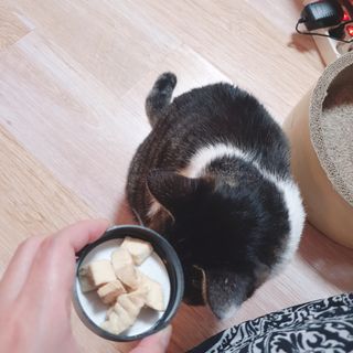 김수수님이 올린 리뷰 사진 2