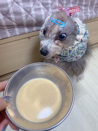 마이츄님이 올린 리뷰 사진 2