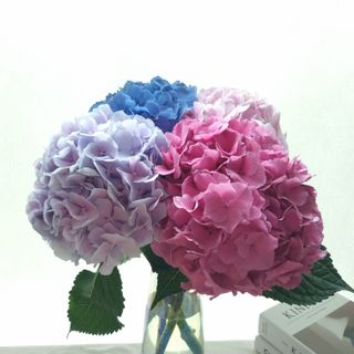 러블리은님이 올린 리뷰 사진 2