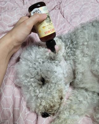 lemoniee님이 올린 리뷰 사진 2