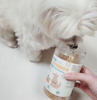 [펫시밀] 원물그대로 강원도 인제군 용대리 무염황태채 60g 강아지 고양이 프리미엄 수제간식 — 5점을 준 리뷰어가 2023년 11월 올린 사용 사진
