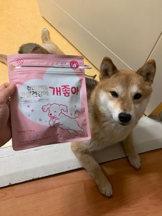 My Pet Care 천연단백질 관절건강에 개좋아 — 5점을 준 리뷰어가 2021년 1월 올린 사용 사진