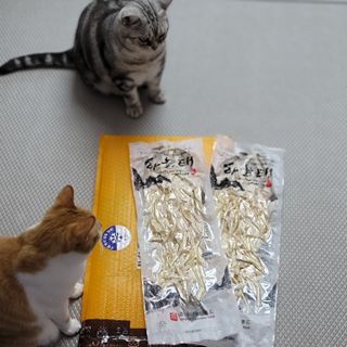jenny님이 올린 리뷰 사진 3