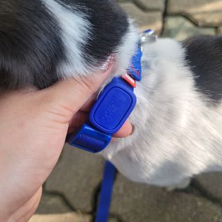 노이님이 올린 리뷰 사진 4