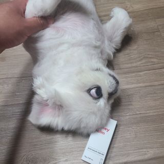 절제미님이 올린 리뷰 사진 1