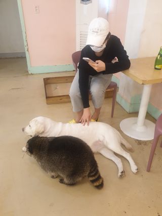 Zenithhappy님이 올린 리뷰 사진 3
