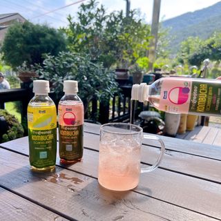 더그레잇티 콤부차 [매일유업] 더그레잇티 44kcal 콤부차 300ml *12개입 (오리지널 6개+베리리치 6개) — 4.5점을 준 리뷰어가 2023년 8월 올린 사용 사진