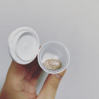 네그로니님이 올린 리뷰 사진 1