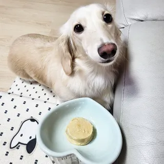 PDKIM님이 올린 리뷰 사진 3