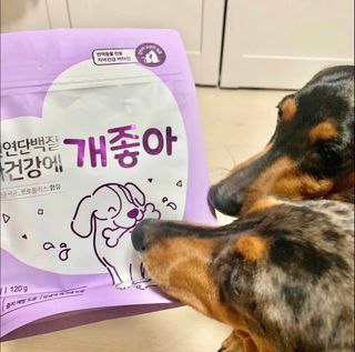 My Pet Care 천연단백질 치아건강에 개좋아 — 4.5점을 준 리뷰어가 2021년 1월 올린 사용 사진