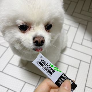오랑이님이 올린 리뷰 사진 1