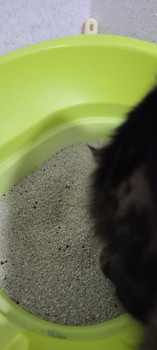 시노님이 올린 리뷰 사진 3
