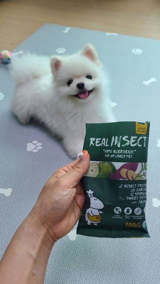 한지수님이 올린 리뷰 사진 3