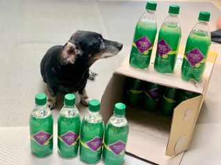 몽베스트 Montbest with Sparkling water Lemon OR Lime 20병(랜덤) — 5점을 준 리뷰어가 2021년 10월 올린 사용 사진
