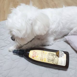lala님이 올린 리뷰 사진 4
