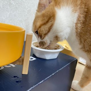 악악님이 올린 리뷰 사진 3